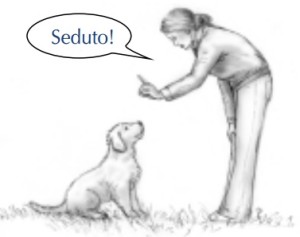 seduto