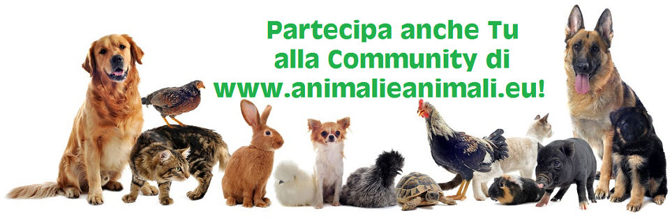 il portale sugli animali