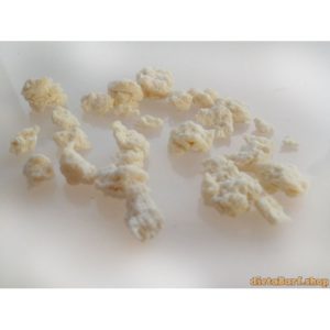 BIO Cocco per cani